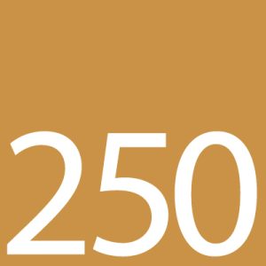 AWADUKT THERMO 250mm